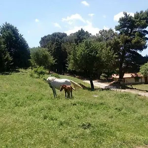 Bosco Pianetti Italien